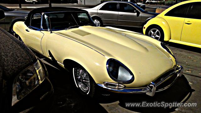 Jaguar E-Type spotted in Riverside, California