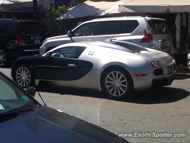 Bugatti Veyron spotted in Miami, Florida