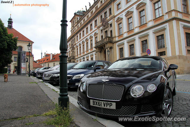 Bentley Continental spotted in Prague, Czech Republic