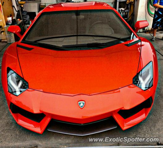 Lamborghini Aventador spotted in La Jolla, California