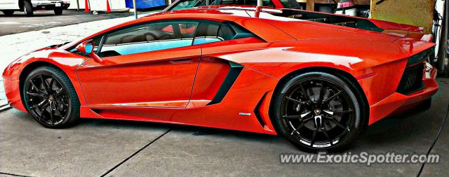 Lamborghini Aventador spotted in La Jolla, California