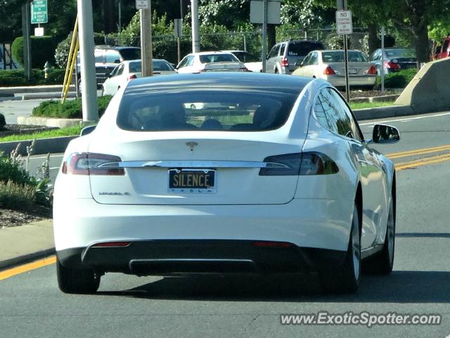 Tesla Model S spotted in Newark, Delaware