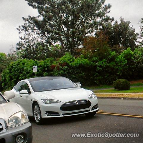 Tesla Model S spotted in La Jolla, California