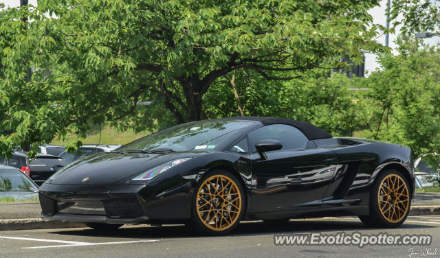 Lamborghini Gallardo spotted in Greenwich, Connecticut