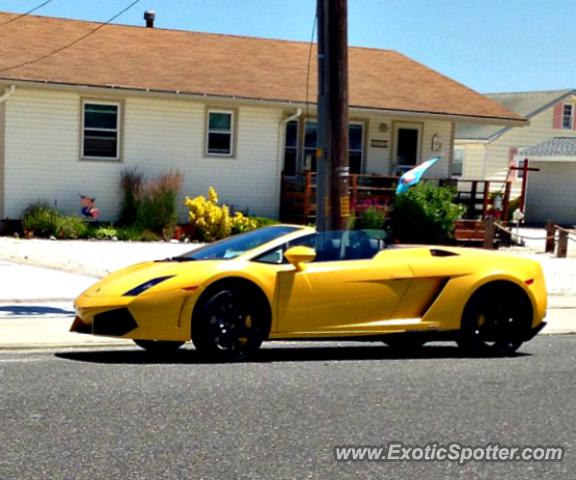 Lamborghini Gallardo spotted in Stone Harbor, New Jersey