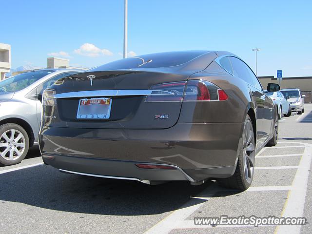 Tesla Model S spotted in Murray, Utah