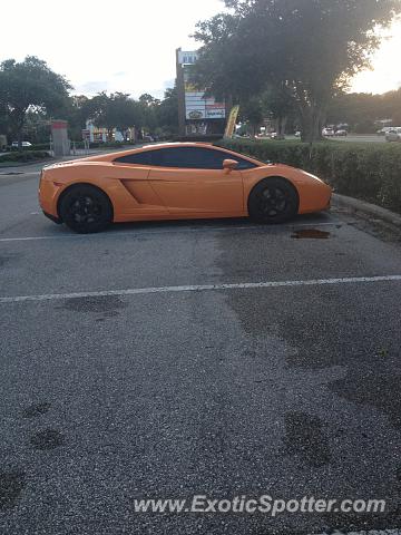 Lamborghini Gallardo spotted in Jacksonville, Florida