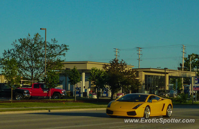 Lamborghini Gallardo spotted in Mequon, Wisconsin