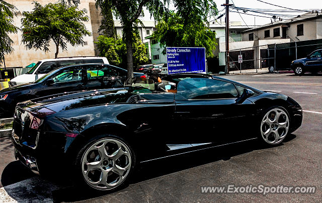 Lamborghini Gallardo spotted in Beverly Hills, California