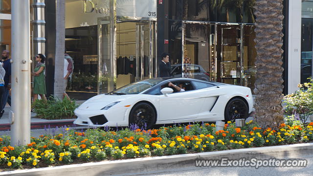 Lamborghini Gallardo spotted in Beverly Hills, California