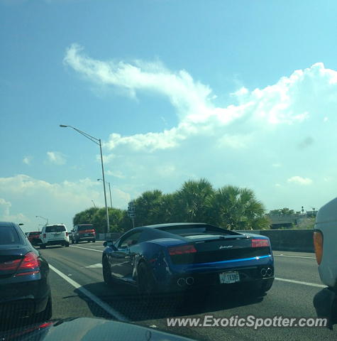 Lamborghini Gallardo spotted in Miami, Florida