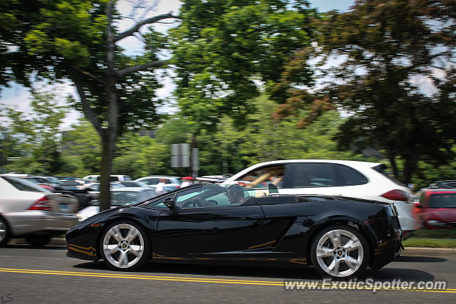 Lamborghini Gallardo spotted in Greenwich, Connecticut