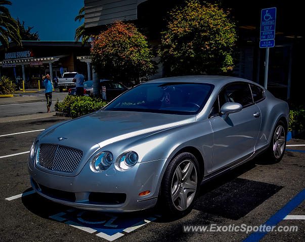 Bentley Continental spotted in Sausalito, California