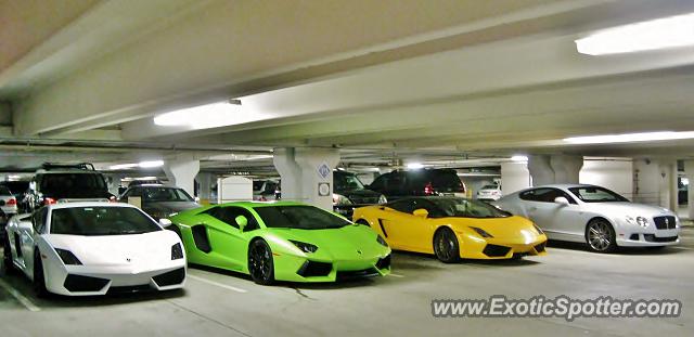 Lamborghini Gallardo spotted in Atlanta, Georgia