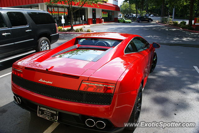 Lamborghini Gallardo spotted in Bellevue, Washington