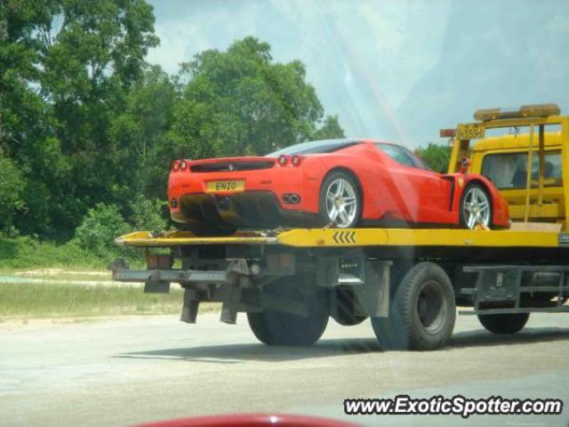 Ferrari Enzo spotted in Shanghai, China