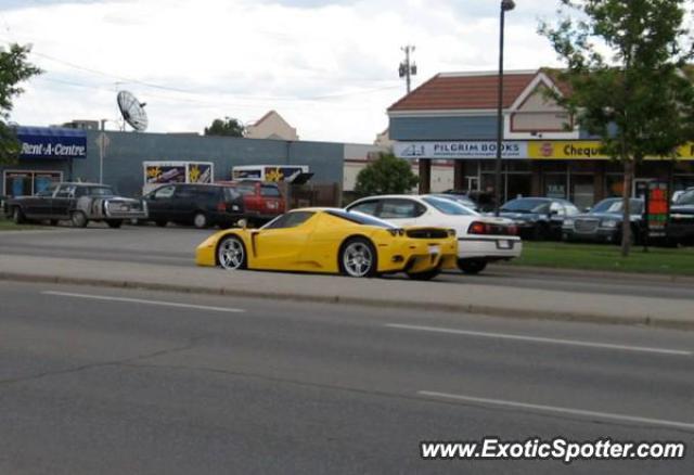 Ferrari Enzo spotted in Calgary, Canada