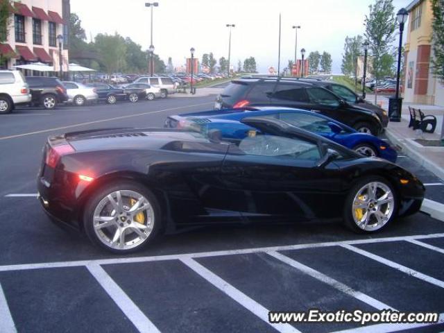 Lamborghini Gallardo spotted in Center Valley, Pennsylvania