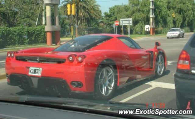 Ferrari Enzo spotted in BUENOS AIRES, Argentina