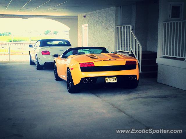 Lamborghini Gallardo spotted in Avalon, New Jersey