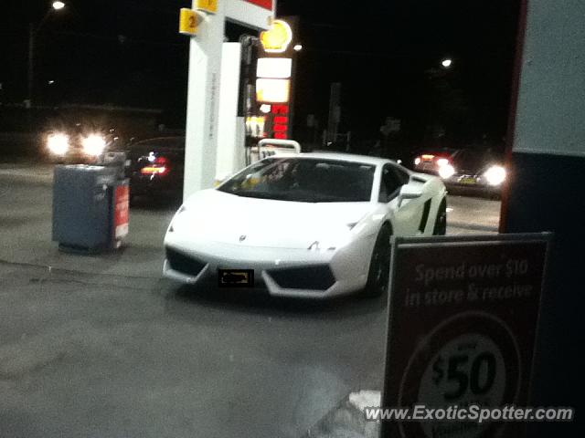 Lamborghini Gallardo spotted in Sydney, Australia