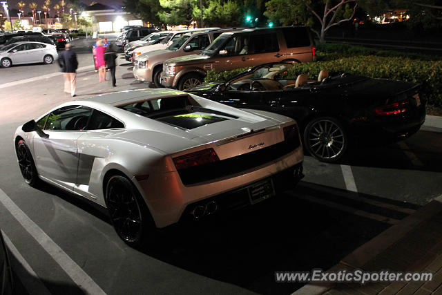 Lamborghini Gallardo spotted in Carmel Valley, California