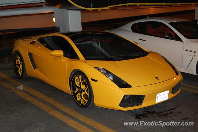 Lamborghini Gallardo spotted in Toronto Ontario, Canada