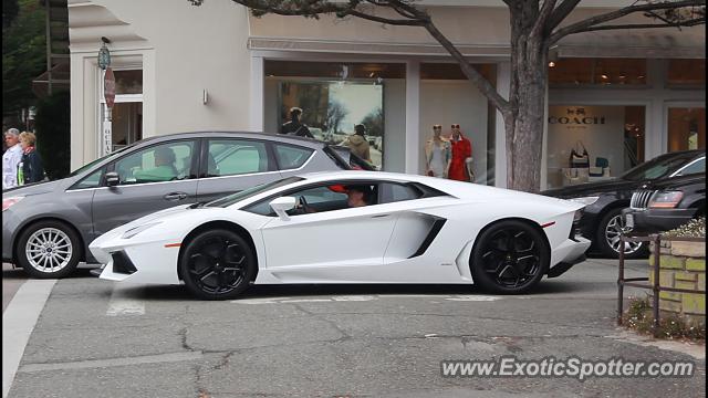 Lamborghini Aventador spotted in Carmel, California