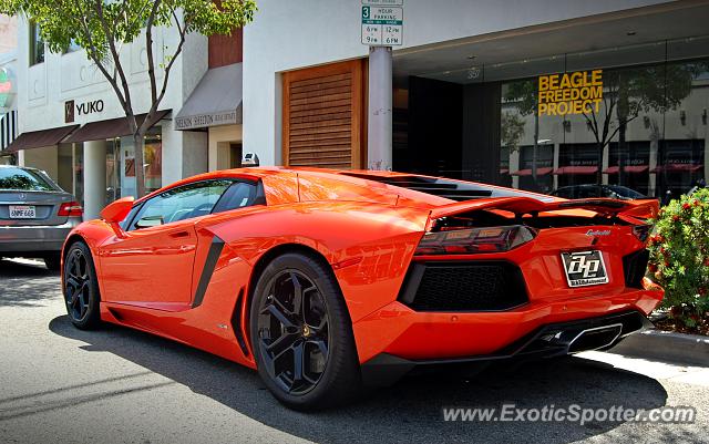 Lamborghini Aventador spotted in Beverly Hills, California