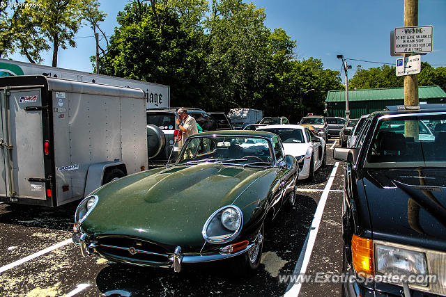 Jaguar E-Type spotted in Greenwich, Connecticut