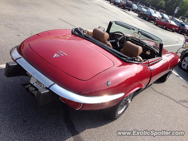 Jaguar E-Type spotted in Bethesda, Maryland