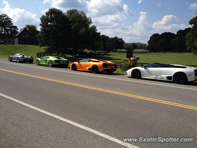 Lamborghini Murcielago spotted in Leipers Fork, TN, Tennessee