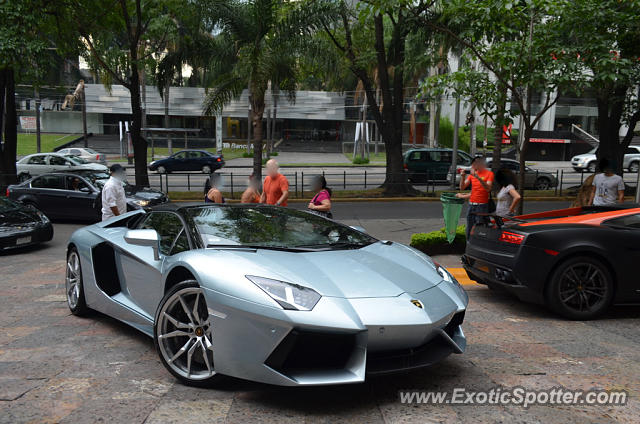 Lamborghini Aventador spotted in Guadalajara, Mexico