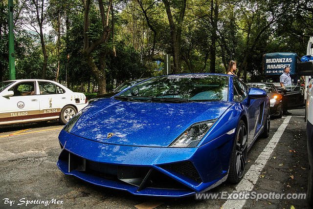 Lamborghini Gallardo spotted in Mexico City, Mexico