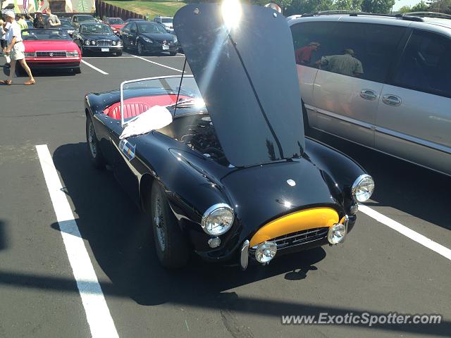 Shelby Cobra spotted in Minneapolis, Minnesota