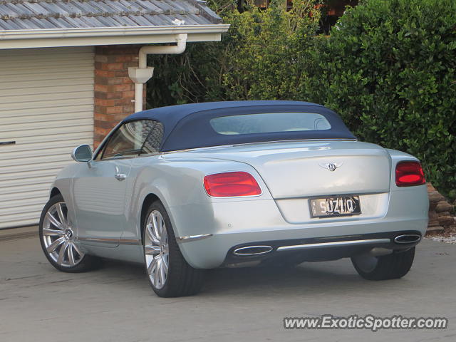 Bentley Continental spotted in Mount Tamborine, Australia