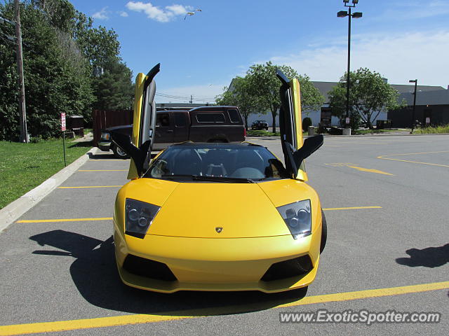 Lamborghini Murcielago spotted in Fredericton, NB, Canada