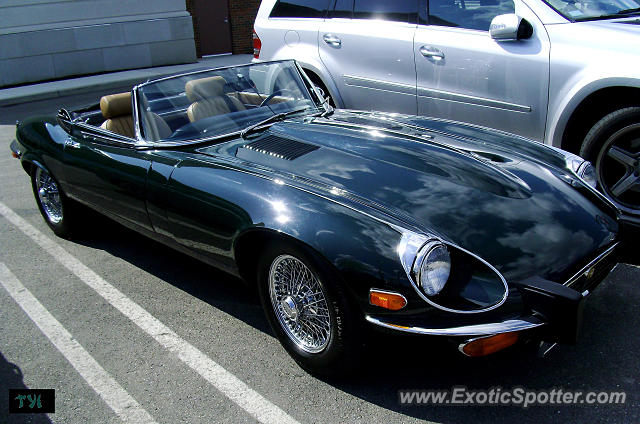 Jaguar E-Type spotted in Columbus, Ohio