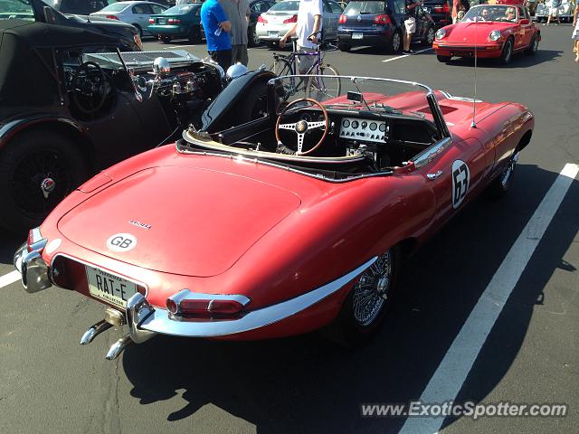 Jaguar E-Type spotted in Minneapolis, Minnesota