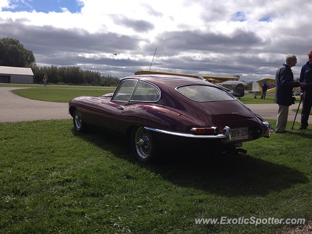 Jaguar E-Type spotted in Guelph, Ontario, Canada