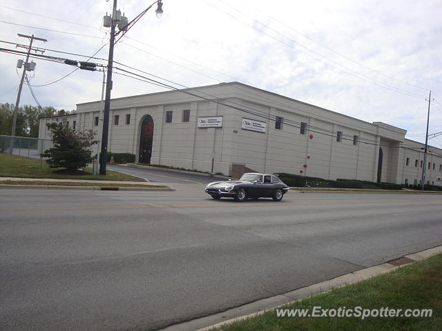 Jaguar E-Type spotted in Columbus, Ohio