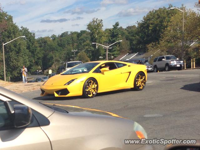 Lamborghini Gallardo spotted in Alexandria, Virginia