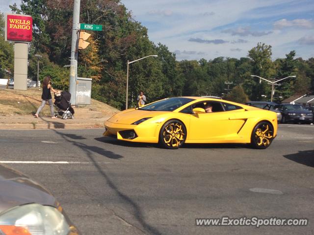 Lamborghini Gallardo spotted in Alexandria, Virginia