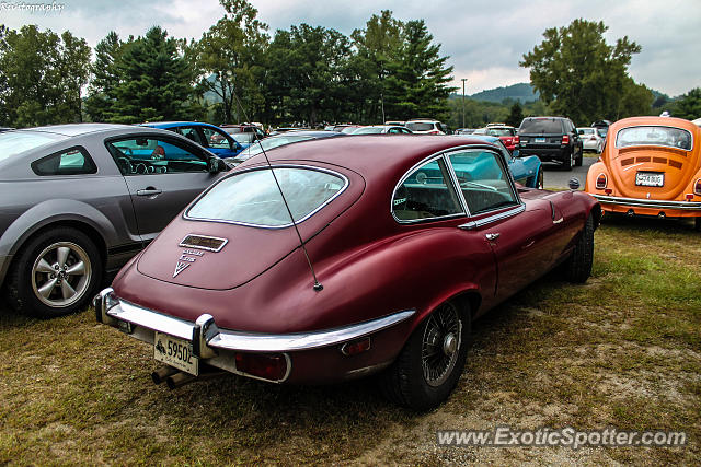 Jaguar E-Type spotted in Lakeville, Connecticut