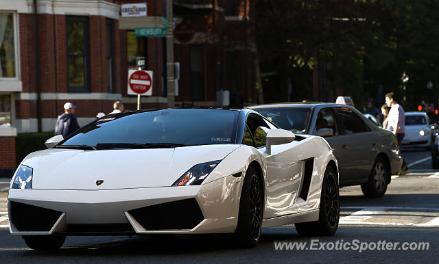 Lamborghini Gallardo spotted in Boston, Massachusetts