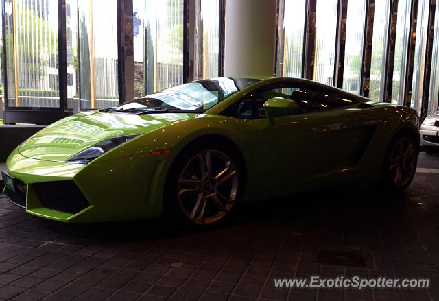 Lamborghini Gallardo spotted in Melbourne, Australia