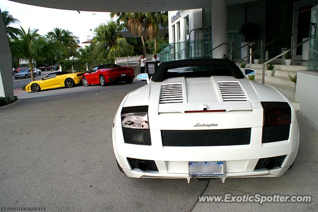 Lamborghini Gallardo spotted in Miami, Florida