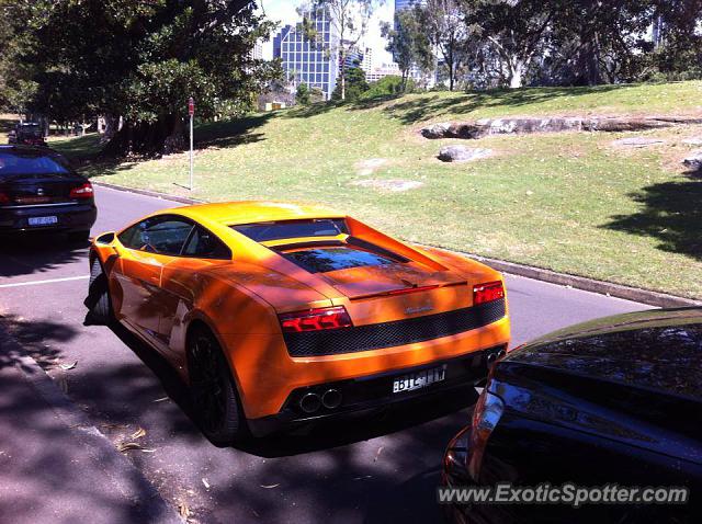 Lamborghini Gallardo spotted in Sydney, NSW, Australia