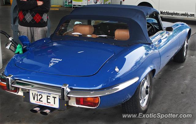 Jaguar E-Type spotted in Blenheim, New Zealand