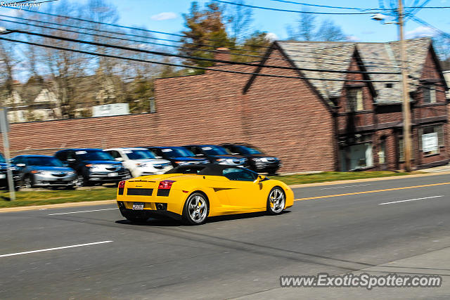 Lamborghini Gallardo spotted in Greenwich, Connecticut